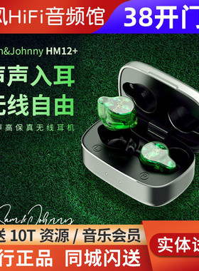 SAMJOHNNY粤声HM12+ 单边1圈1铁1平板6单元真无线蓝牙HIFi耳机