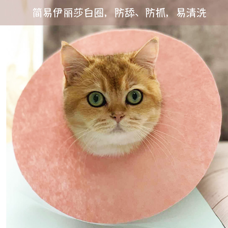 伊丽莎绝育防咬耻辱春夏款软圈