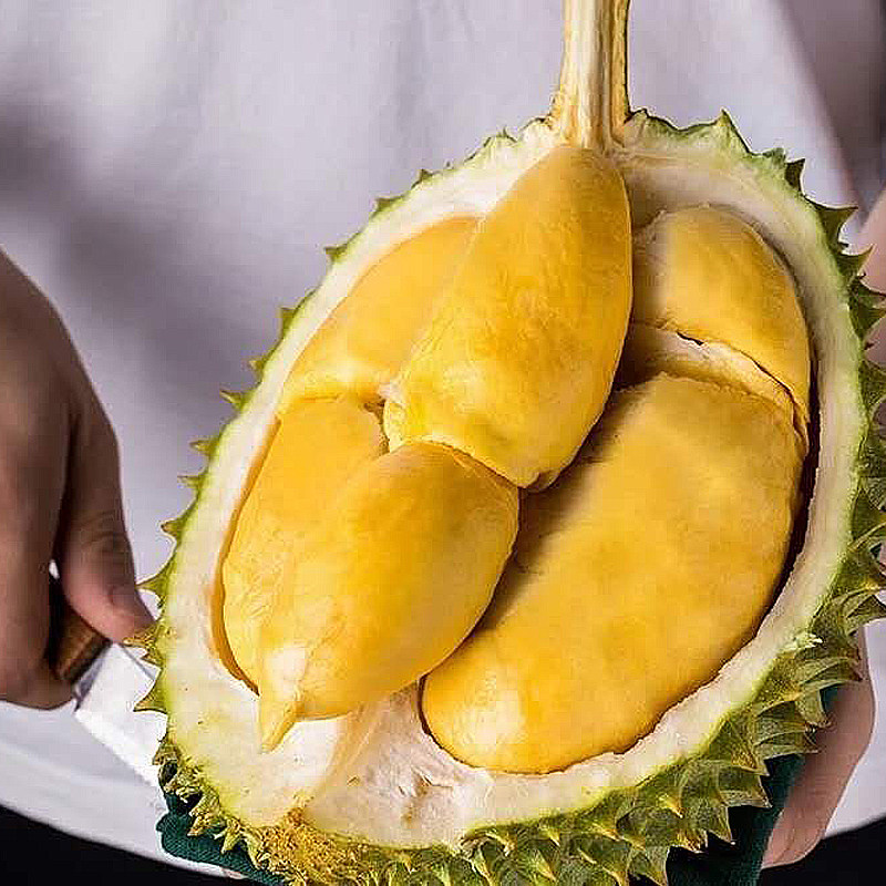 托曼尼 肉黄味浓好吃 核大肉少,水产肉类/新鲜蔬果/熟食,榴莲,淘宝优惠券,粉丝福利购,淘宝优惠卷