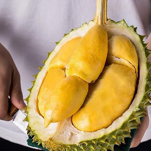 托曼尼 肉黄味浓好吃 核大肉少