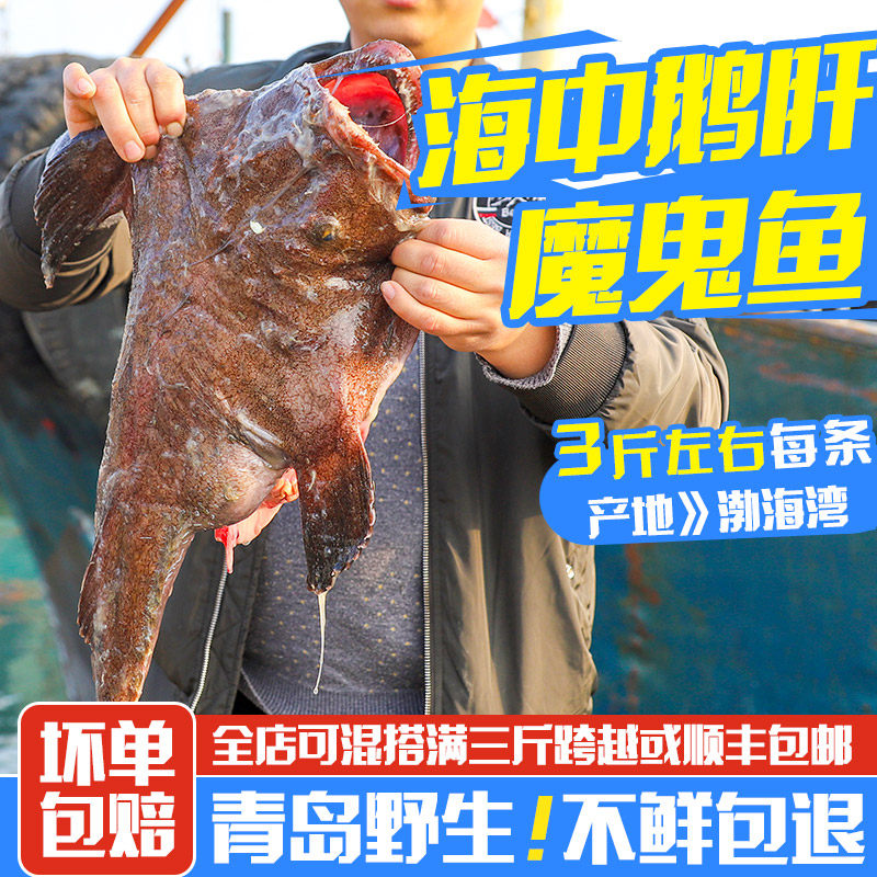 大安康鱼新鲜鲜活3斤左右/条带肝带肚青岛鮟鱇鱼丑鱼海鲜水海中鹅