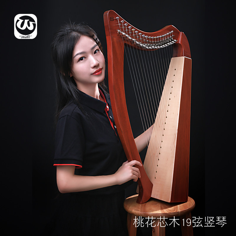 沃尔特爱尔兰凯尔小众小竖琴