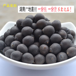 湖南产地带壳干莲子湘莲即食炒货大老莲子黑莲子硬铁莲子串石莲子