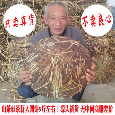 防脱发控油去头屑护发洗头养发