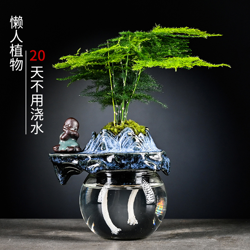 发财树办公桌创意自动吸水盆景