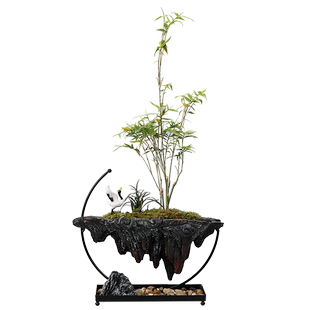 悬浮倒山文竹米竹绿植摆件盆栽景观办公室内玄关客厅桌面净化空气