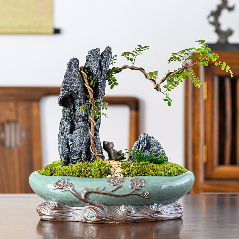 清香木盆栽附石造型胡椒木盆景室内植物客厅办公桌面好养四季常青