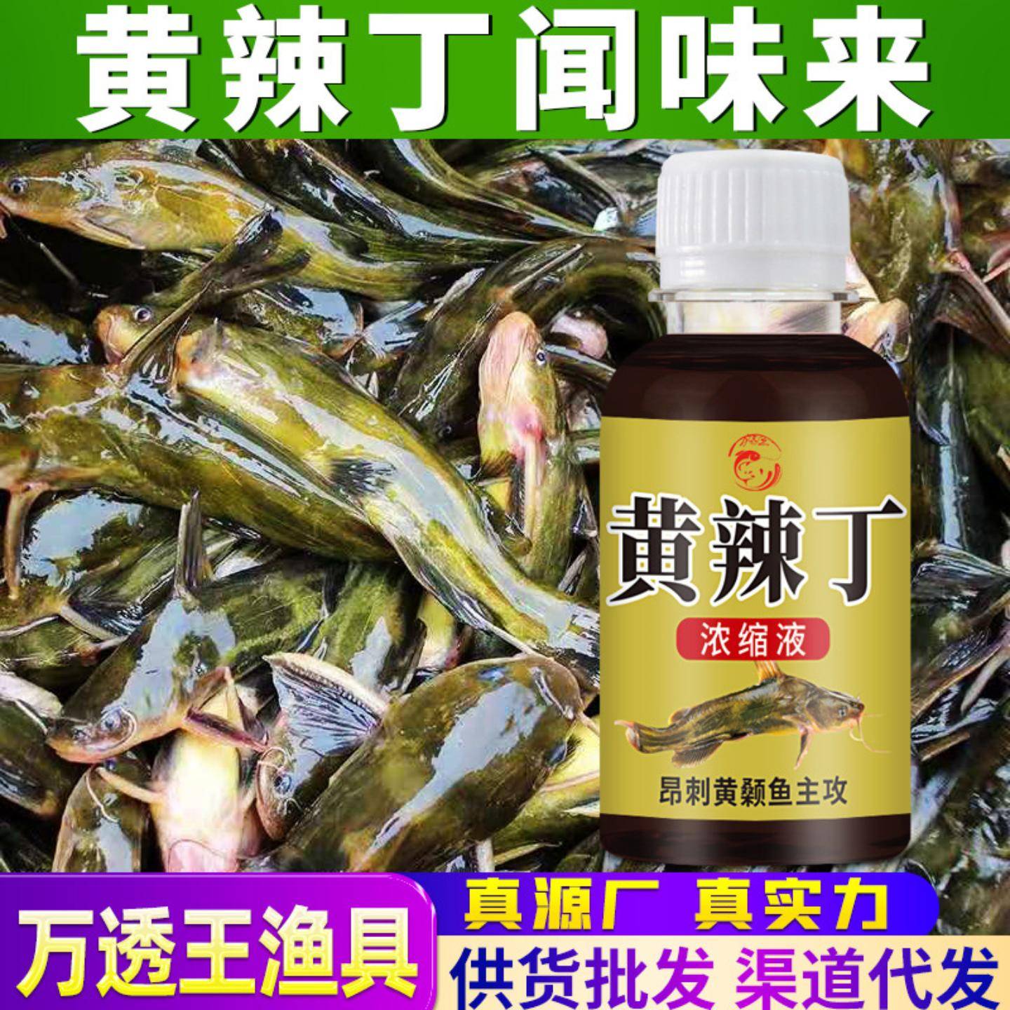 黄辣丁钓鱼小药黑坑野钓昂刺