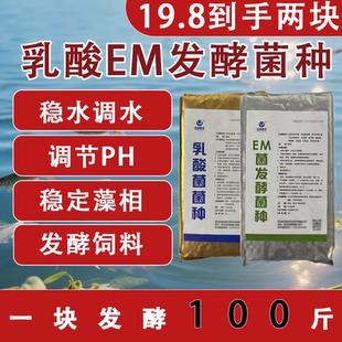 乳酸菌水产养殖专用调水乳酸菌原种em菌种虾池鱼塘降氨氮亚盐降PH
