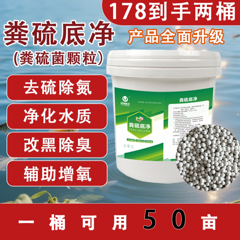 粪硫菌水产养殖改黑除臭硫细菌