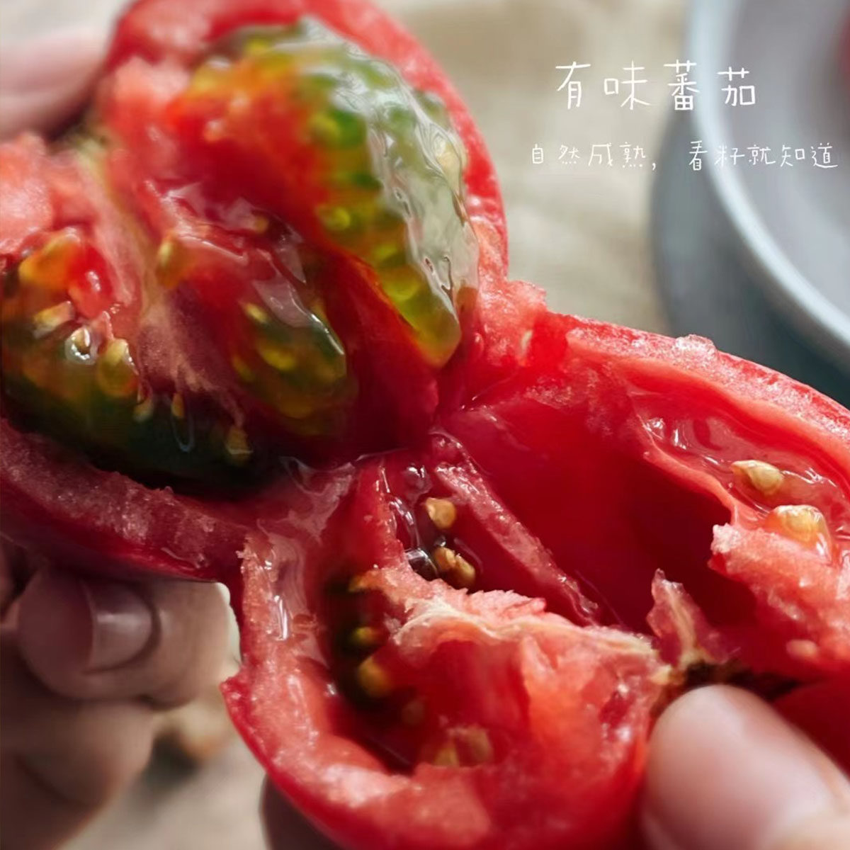 西红柿番茄饱满多汁水酸甜可口