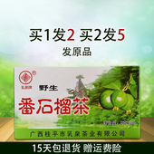 正品 广西乳泉番石榴茶石榴果中老年养生茶组合袋泡芭乐茶包买1发2