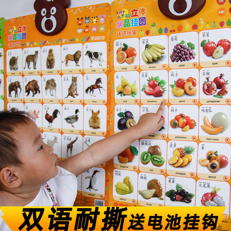 宝宝启蒙有声挂图点读认知人物