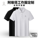 文化衫 阿维塔工作服夏季 透气吸汗文化polo衫 翻领短袖 logo定制 新款