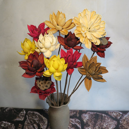 木莲花干花价格 木莲花干花图片 星期三 木莲花干花价格 木莲花干花图片 星期三