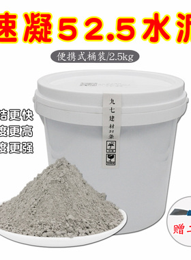 速凝水泥硅酸盐po52.5高标号525修补漏洞快硬早强速快干黑水泥桶
