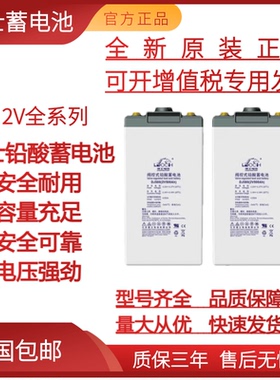 理士蓄电池DJ100AH2V200AH/2V300AH/2V500AH铅酸免维护直流屏消防