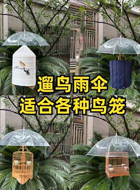 鸣中雀下雨遛鸟专用雨伞透明不挡光简单易用雨天放鸟专用遮雨伞