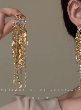 「宴会女王」流苏耳环2025新款爆款高级感轻奢小众晚宴礼服耳饰女