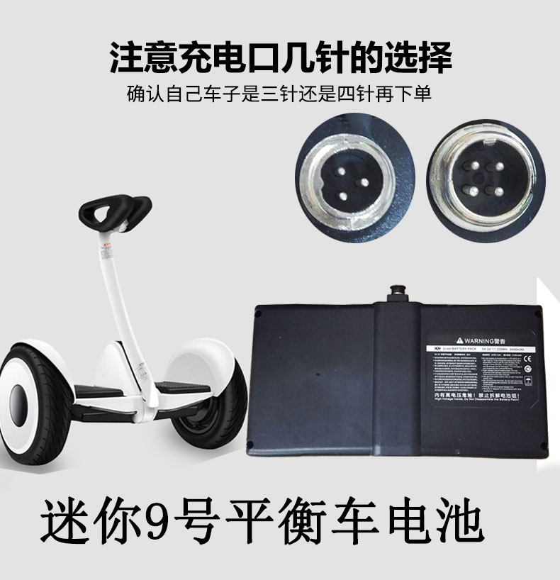 阿尔郎36v54v久米老鼠锂电池组