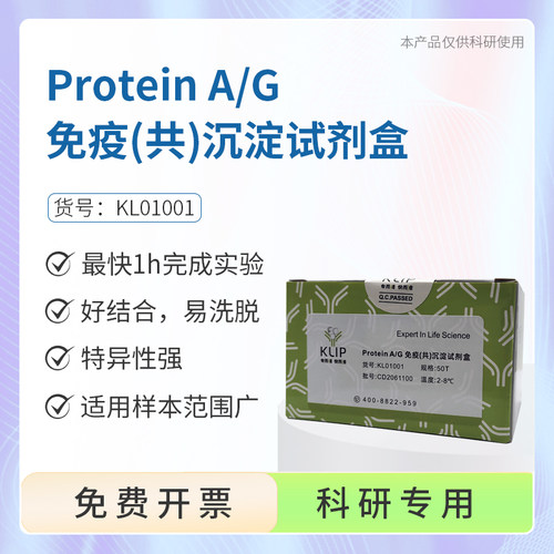 KLIP Protein A/G 免疫(共)沉淀试剂盒 50T KL01001 抗原免疫沉淀