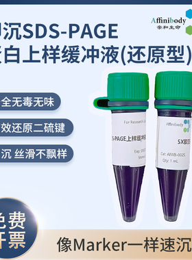 亲和生命即沉SDS-PAGE蛋白上样缓冲液2X5X还原型Loading无毒无味