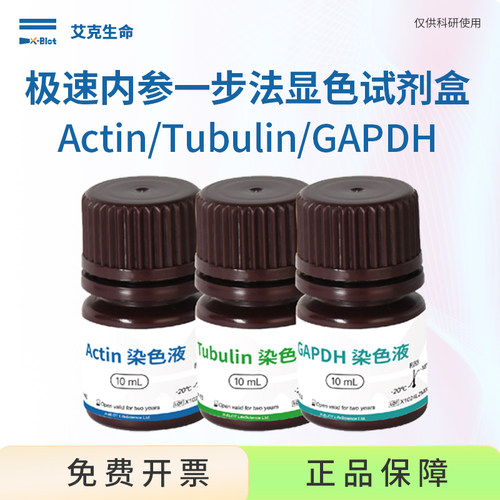 艾克生命GAPDH极速内参显色液WB