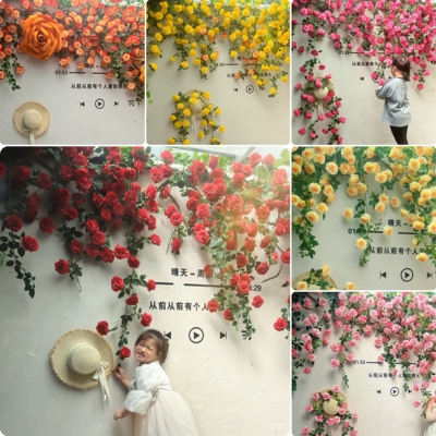 网红拍照打卡花墙秋天冬天装饰