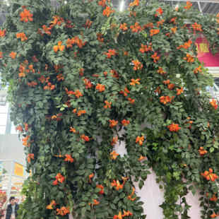 仿真凌霄花藤条藤蔓瀑布桔色花墙背景墙进点栅栏布置装饰打卡拍照
