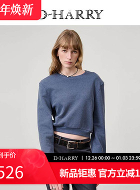 D-HARRY/迪哈利2025春秋新款休闲百搭纯棉蓝色卫衣DH251B90036D