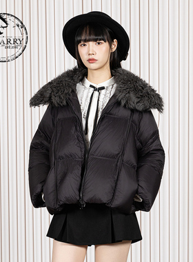 D-HARRY/迪哈利2025冬季新款百搭保暖通勤黑色羽绒服DH254G90990T