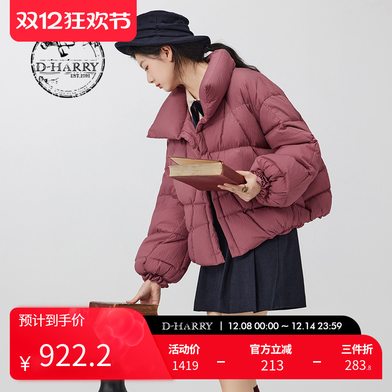 DH234G96765D迪哈利羽绒服