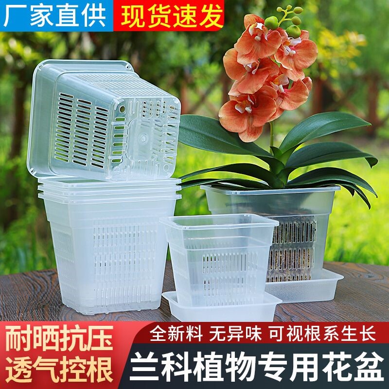 养兰花专用花盆蝴蝶兰花盆加厚塑料网文心兰石斛控根花盆新款透气