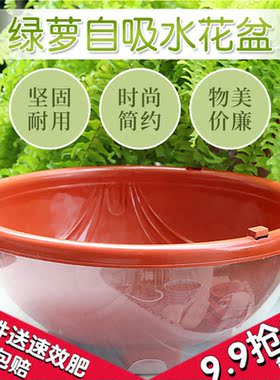 花盆大号塑料透明罩懒人自动吸水花盆绿萝专用储水双层特价清仓