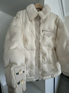 欧货高端时尚真丝羽绒服女短款国风盘扣桑蚕丝白鹅绒轻薄刺绣