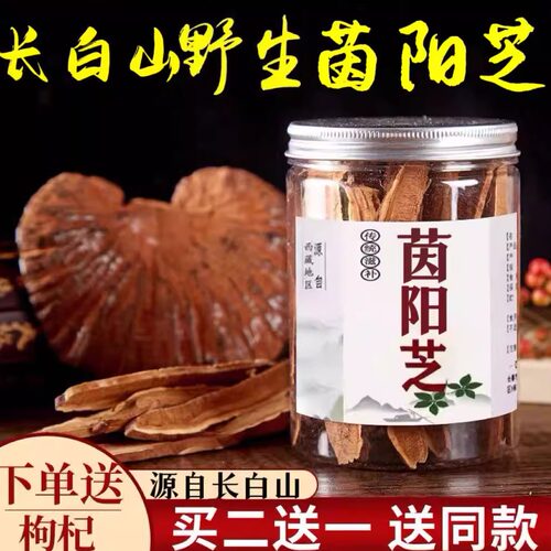 【官方正品】长白山茵阳芝野生官网正品防伪验证因阳芝茵阳灵芝