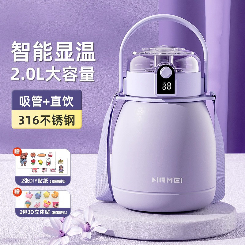 德国2025新款高颜值女生保温杯大容量2000ml吸管316不锈钢大肚杯