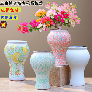 三角梅飘枝盆大号高筒大口径花盆多肉法师月季盆栽瓷透气吊兰花盆