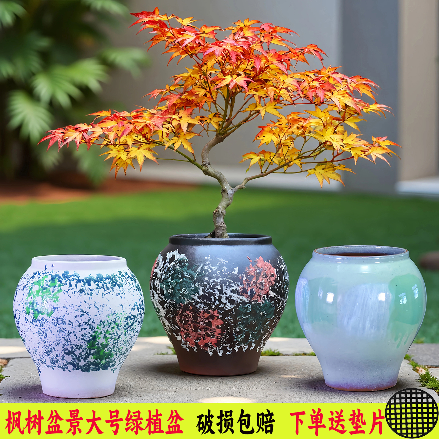 大口径枫树三角梅花盆陶瓷户外盆