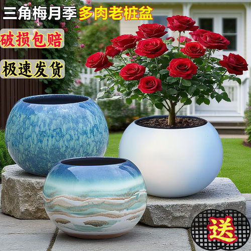 圆球盆家用绿植轻奢大口径花盆