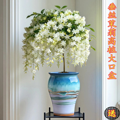 手工三角梅盆简约陶瓷花盆大口径垂丝茉莉绿植盆桌面落地高筒花器