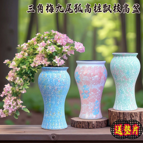 桌面大号粗陶三角梅九尾狐花盆