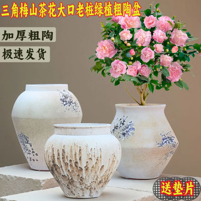 法师多肉大号花盆陶瓷大口径盆