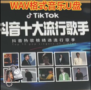烟嗓船长洋澜一大头针十大流行歌手优盘无损高品质WAV车载音乐U盘
