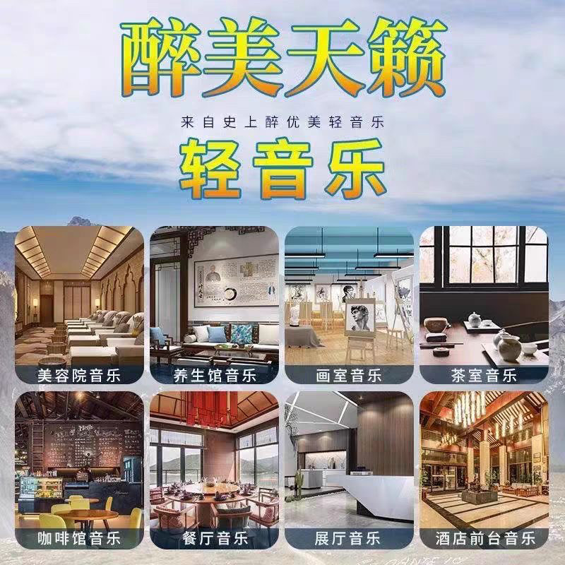 茶室休闲纯轻音乐高雅养生会所高音质音乐精选音乐完整版车载U盘