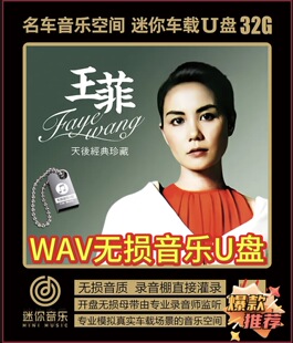 王菲天后经典珍藏世界赠予我的传奇如愿匆匆那年暧昧车载音乐U盘