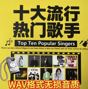 流行歌手洋澜一陈瑞程响庄心妍魏佳艺花姐大欢王琪wav车载音乐U盘