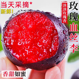 河南应季风味玫瑰血丝李红心李子时令水果黑布林红肉恐龙蛋味帝李