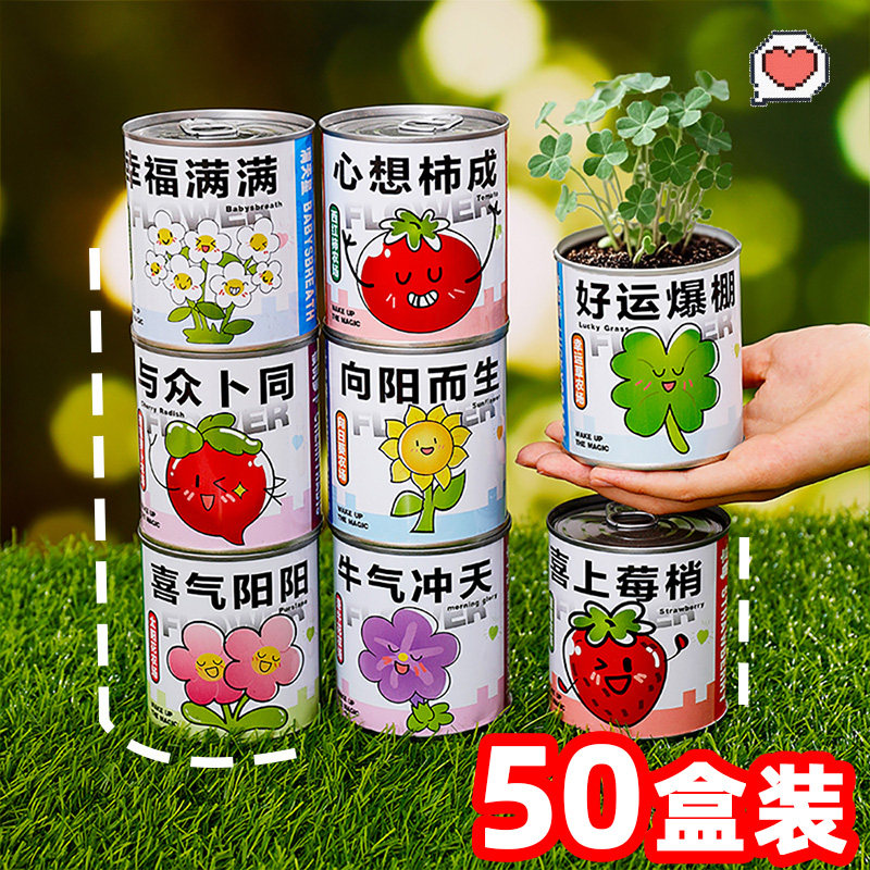 开学礼物学生奖励小礼品实用DIY植物种植盲盒幼儿园儿童活动奖品,节庆用品/礼品,创意礼盒/礼品套组,淘宝优惠券,粉丝福利购,淘宝优惠卷