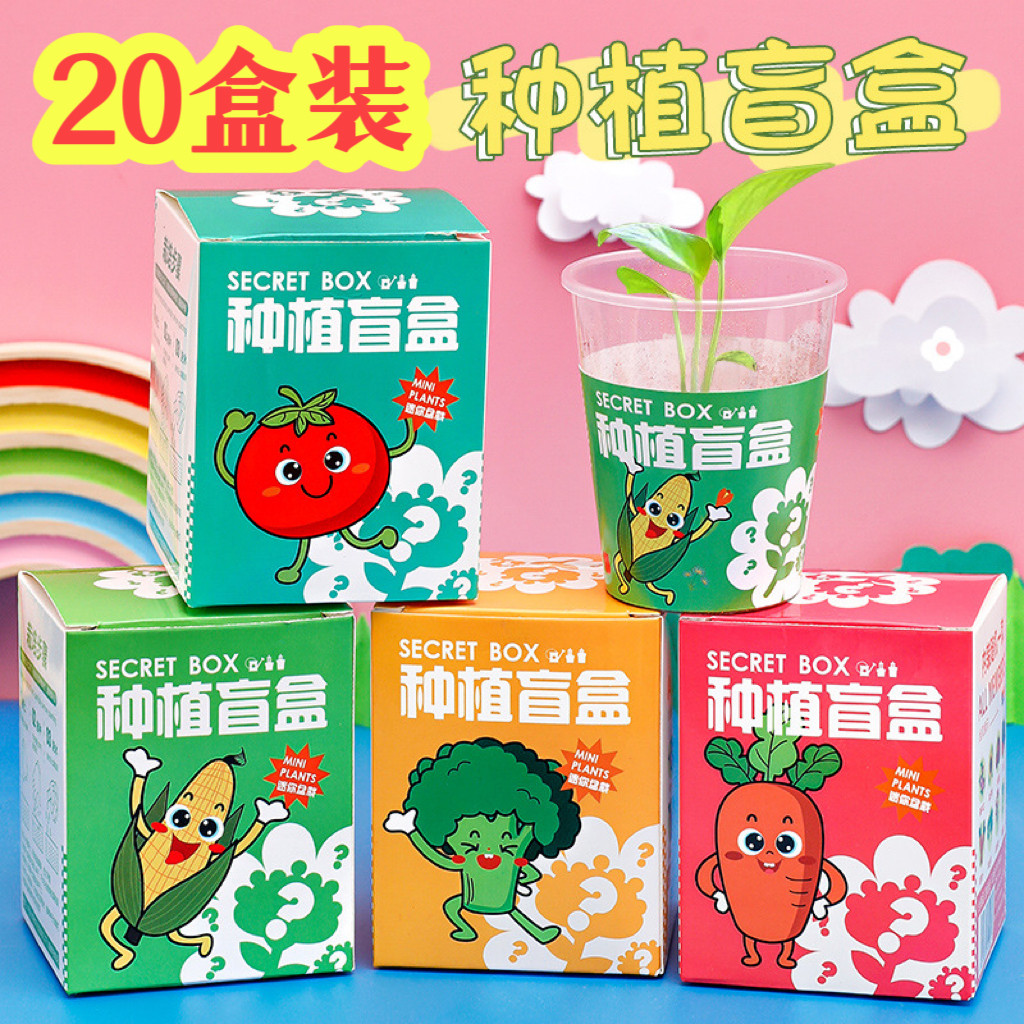 diy微景观植物盲盒盆栽小礼物